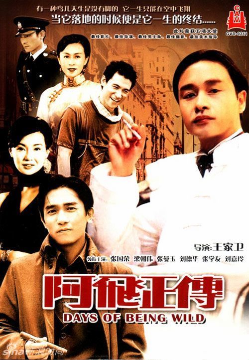 威斯康星大学帕克塞德分校金融文凭证书